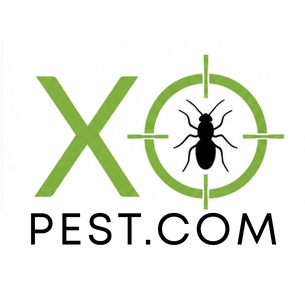 XO Pest